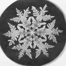 Snowflake Study, 1890, by Wilson A. Bentley, Smithsonian Institution Archives.