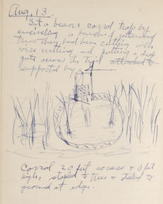 Detail view of beaver corral drawing, August to November 1906 Vernon Bailey field book, Record Unit 