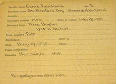 Specimen catalog card showing pedigree for a St. Bernard named Bismarck of the Cedars, 1894.