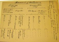 Back - Specimen catalog card showing pedigree for a St. Bernard named Bismarck of the Cedars, 1894.