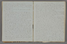 Excerpts from Mary Henry's diary, November 11, 1861 to January 1, 1862, Smithsonian Institution Arch