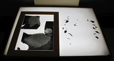 Reassembly of a glass plate negative during treatment, 2012, by Janelle Batkin, Record Unit 7370, Sm