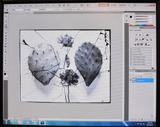 Digitization of a glass plate negative, during Treatment, 2012, by Janelle Batkin, Record Unit 7370,