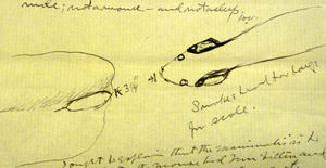 David White's illustration of mouse, Smithsonian Institution Archives, Record Unit 305, Accession Nu