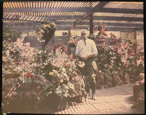 Rosecroft Begonia Gardens, 1920, by Alfred D. Robinson, glass autochrome, Garden Club of America Col