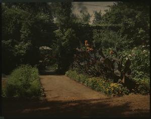 Rosecroft Begonia Gardens, 1920, by Alfred D. Robinson, glass autochrome, Garden Club of America Col