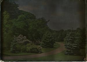 Eagle Rock, 1917, glass autochrome, Garden Club of America Collection, Archives of American Gardens.