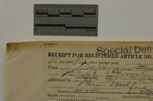 Straight pin in-situ, October 2012, by Janelle Batkin-Hall, Watson Davis Papers, Smithsonian Institu