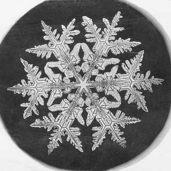 Snowflake Study, 1890, by Wilson A. Bentley, Smithsonian Institution Archives, Record Unit 31, Box 1