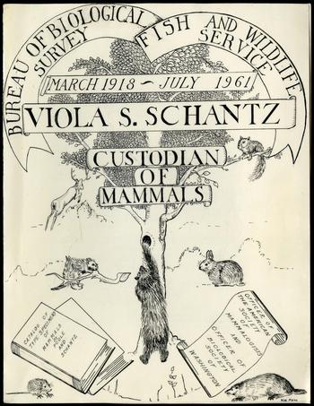 Front of folder for Viola S. Schantz, Color Document, Record Unit 7288 - Viola Shelly Schantz Collec