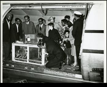 This photo of Ambassador Galbraith and family with coyotes flown to the Delhi Zoological Park in an 