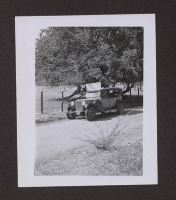 Fiat with collecting net in place, Jamaica, 1937