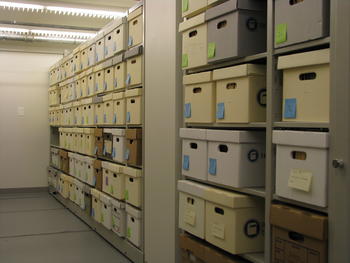 Robbins Papers in collections storage.