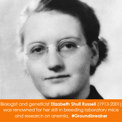 Biologist and geneticist Elizabeth Shull Russell (1913-2001)