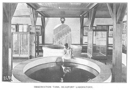 Observation Tank, Beaufort Laboratory.