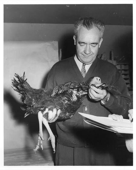 Dr. Marlowe W. Olsen holding a turkey.