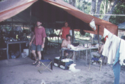 Researchers preparing specimens in the field under a tent during a bird expedition