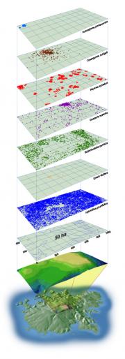 An image from the Smithsonian Institution Global Earth Observatories website showing Barro Colorado 