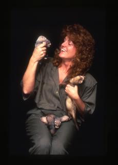 National Zoo reproductive biologist JoGayle Howard holding black-footed ferret kits, an endangered s