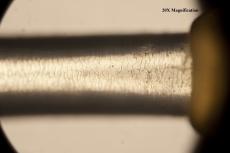 The Scale Pattern of the mystery hair at 20x Magnification, November 1, 2013, by Andrea Hall, Access