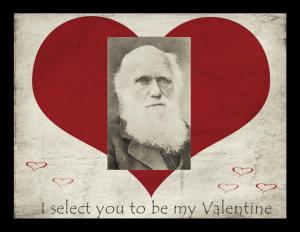 "I Select You to be My Valentine" - Charles Robert Darwin, by Herbert Rose Barrard, Smithsonian Inst