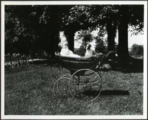 S. Dillon Ripley in pram with dog, c. 1914, photographer unknown, photographic print, Accession 93-1