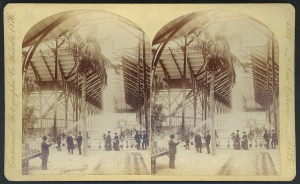 Black and white double photograph of indoor fountain.