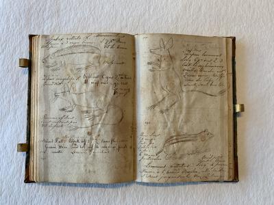 An open book. Both pages have sketches of creatures on them, drawn between handwritten notes. 