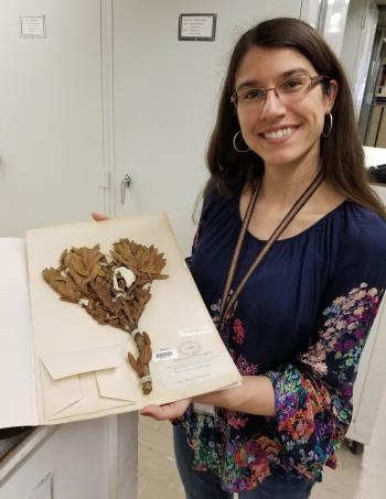 Woman holding dried plant speciman.