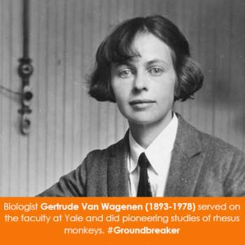 Biologist Gertrude Van Wagenen (1893-1978) served on the faculty at Yale and did pioneering studies of rhesus monkeys.