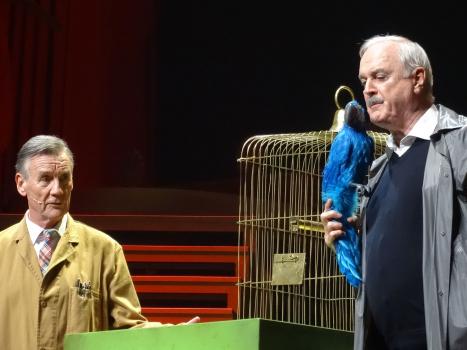 Two men stand on a stage.One man is holding a blue parrot. Both are staring at the parrot. A cage is