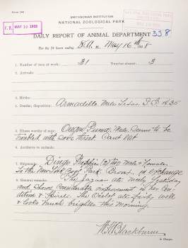Daily Report for the National Zoological Park, 1908, 16 May. 