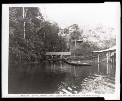 Barro Colorado Island, Smithsonian Tropical Research Institute, Panama