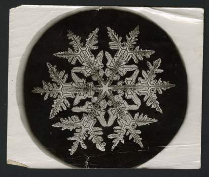Winter’s arrival brings the annual increase of requests for photos by Wilson A. "Snowflake" Bentley (Record Unit 31 - Office of the Secretary, Correspondence, 1866-1906), Smithsonian Institution Archives, Neg. No. SIA2013-9128.