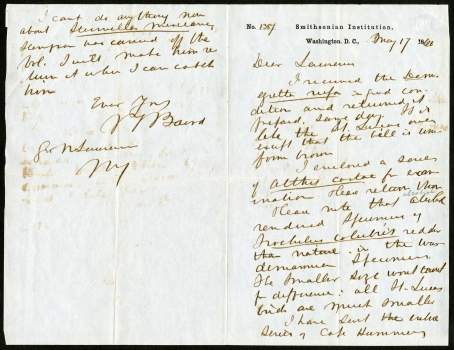 Letter from Spencer Fullerton Baird to George N. Lawrence