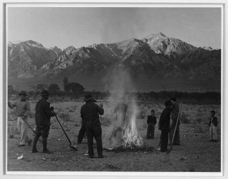 Burning leaves, autumn dawn, Manzanar Relocation Center, California, photograph by Ansel Adams, 1943