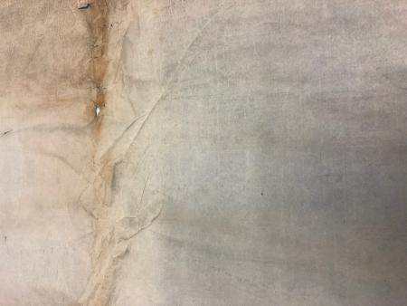 Back (verso) of a blueprint after surface cleaning. Photograph courtesy of Jenna Bossert.