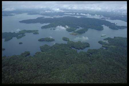 Aerial view of Barro Colorado Island at the Smithsonian Tropical Research Institute, c. 1986, Access