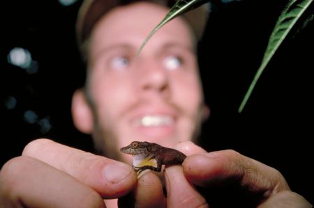STRI Visiting Scientist Brian C. Bock with Salamander