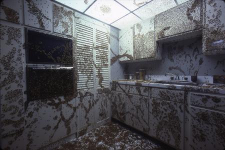 Cockroach Kitchen, Dynamics of Evolution Hall, 1979, photographic print, Accession 13-125 - National