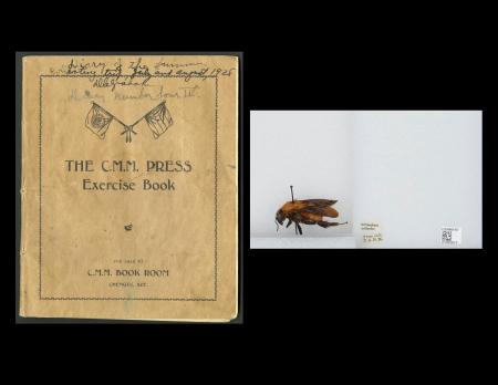 On the left: David Crockett Graham diary documenting his field work in China, Smithsonian Institutio