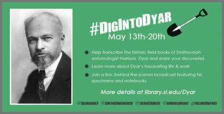 #DigIntoDyar