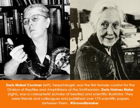 Doris Mabel Cochran (left), herpetologist, was the first female curator for the Division of Reptiles