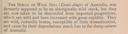 Text from the Catalogue of the Philadelphia Zoological Gardens, 1878