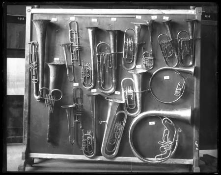 Selection of horns mounted for musical instruments exhibit in the United States National Museum.