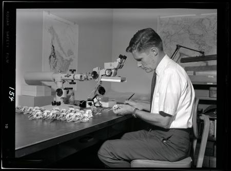 Dr. Richard L. Zusi Examines Bird Skulls