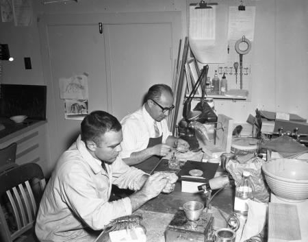 Museum of Natural History Exhibits Staff