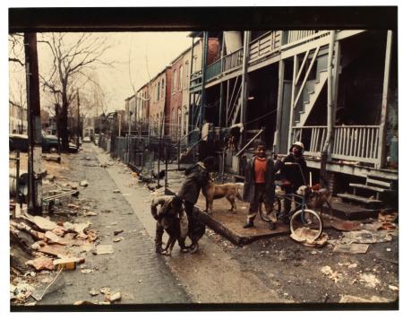 Four African American boys with three dogs and a bicycle in an alley cluttered with trash, by Robert