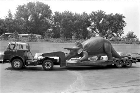 Transfer of Uncle Beazley to Museum of Natural History