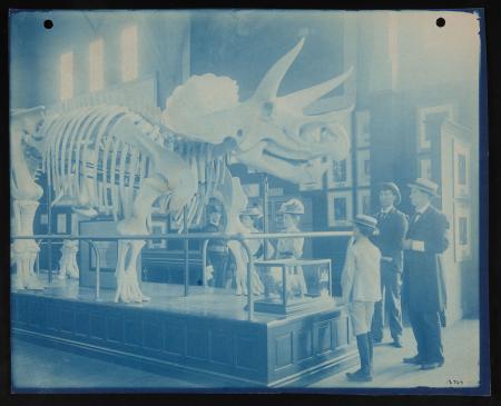 Visitors view a papier mache replica of aÂ TriceratopsÂ skeleton at the Pan-American Exposition 